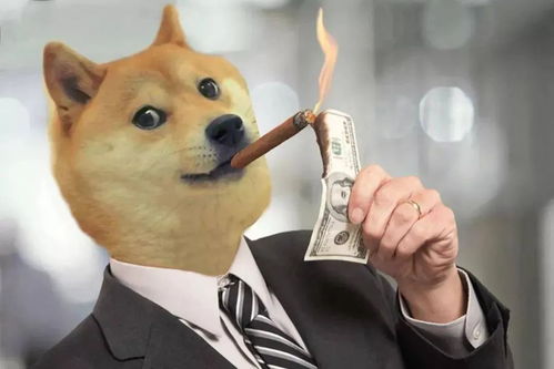 (旋转节奏xd)旋转节奏Doge，探索加密货币世界的独特现象与影响